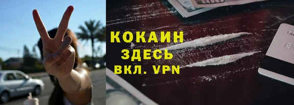 стафф Арсеньев