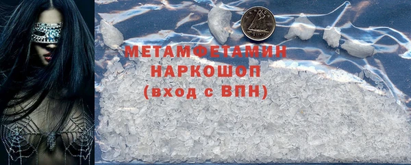 индика Алексин