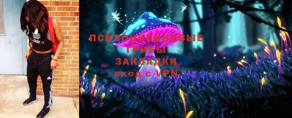стафф Арсеньев