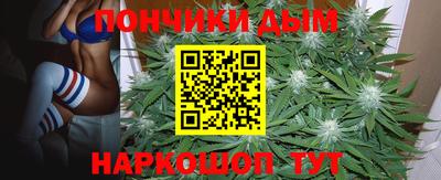 прущие крисы Брянск