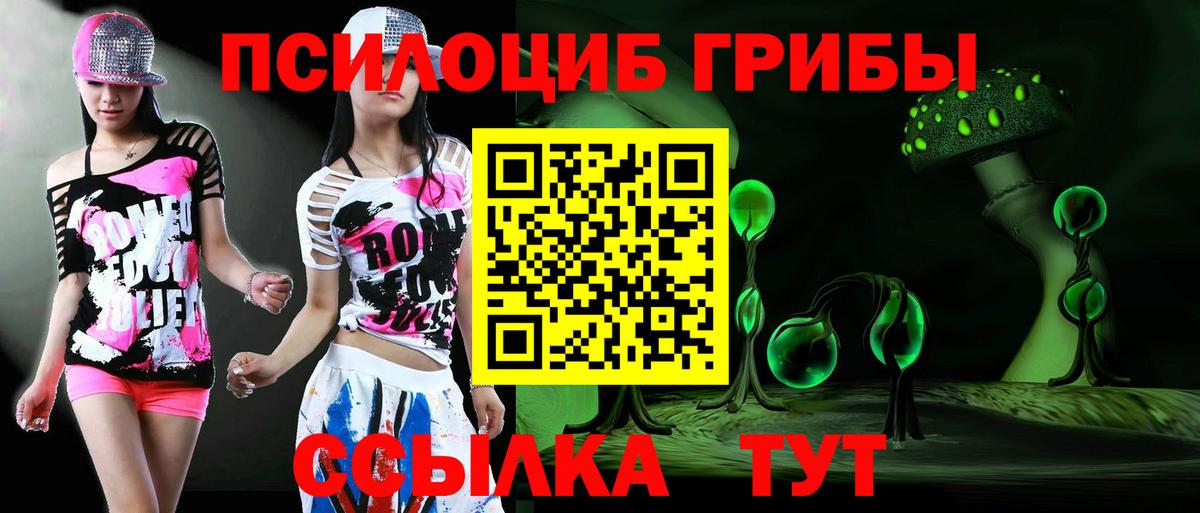 Псилоцибиновые грибы мицелий Невинномысск